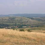 Weiden in Siebenbürgen