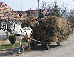 Landwirt in Rumänien