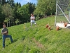 biohuhn4