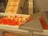 frigemo6