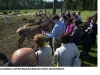 lettland_hirschfuttern