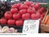 lettland_tomaten