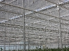 meier10.jpg