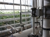 meier11.jpg