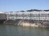 meier3.jpg