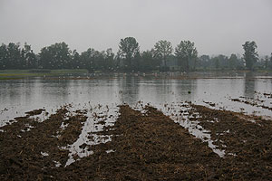 Hochwasser im Wauwiler Moos LU