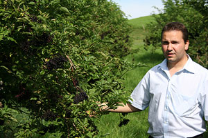 Christof Schenk, Holderhof Produkte AG