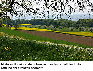 Schweizer Landwirtschaft