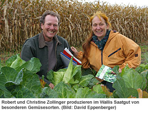 Robert und Christine Zollinger produzieren im Wallis Saatgut von besonderen Gemüsesorten.
