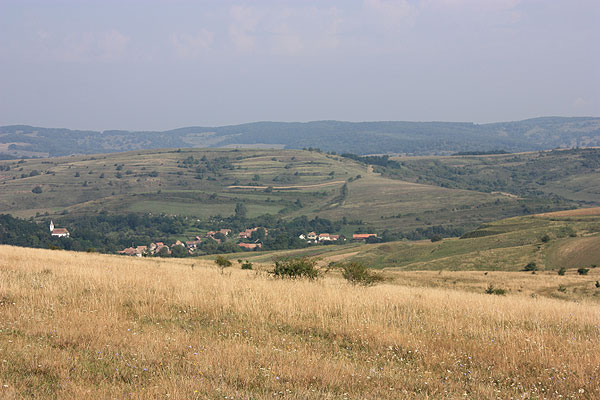 Weiden in Siebenbürgen