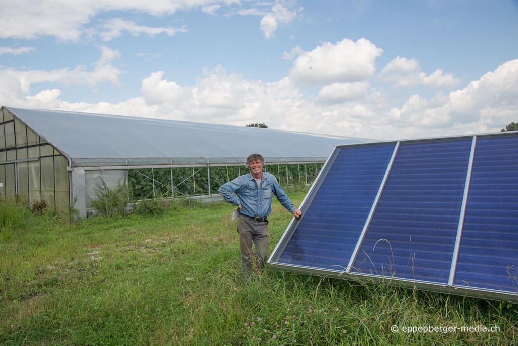 Gemüsegärtner Thomas Kessler beheizt und entfeuchtet seine Gewächshäuser mit Solarthermie.