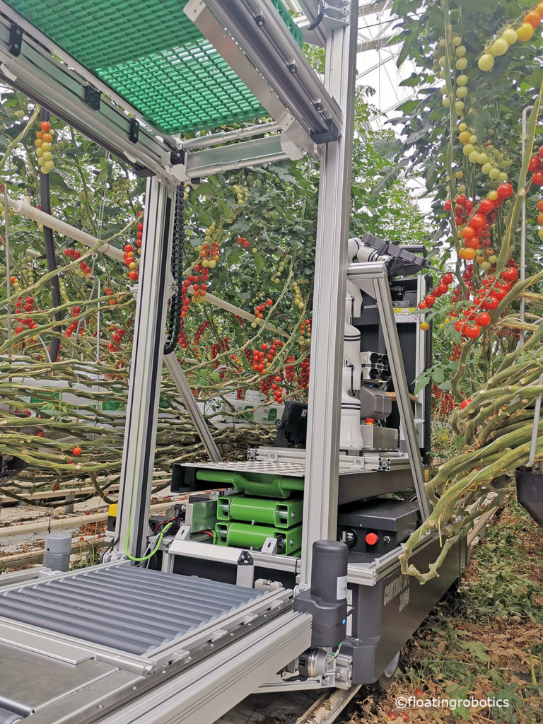 Ebenso wichtig wie der Ernteroboter ist ein kompatibles Transportsystem. 