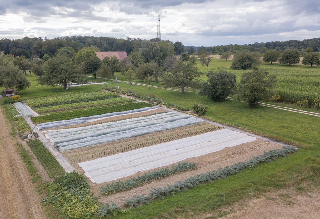 Drohnenaufnahme von einem Gemüsebaubetrieb in der Region Basel.