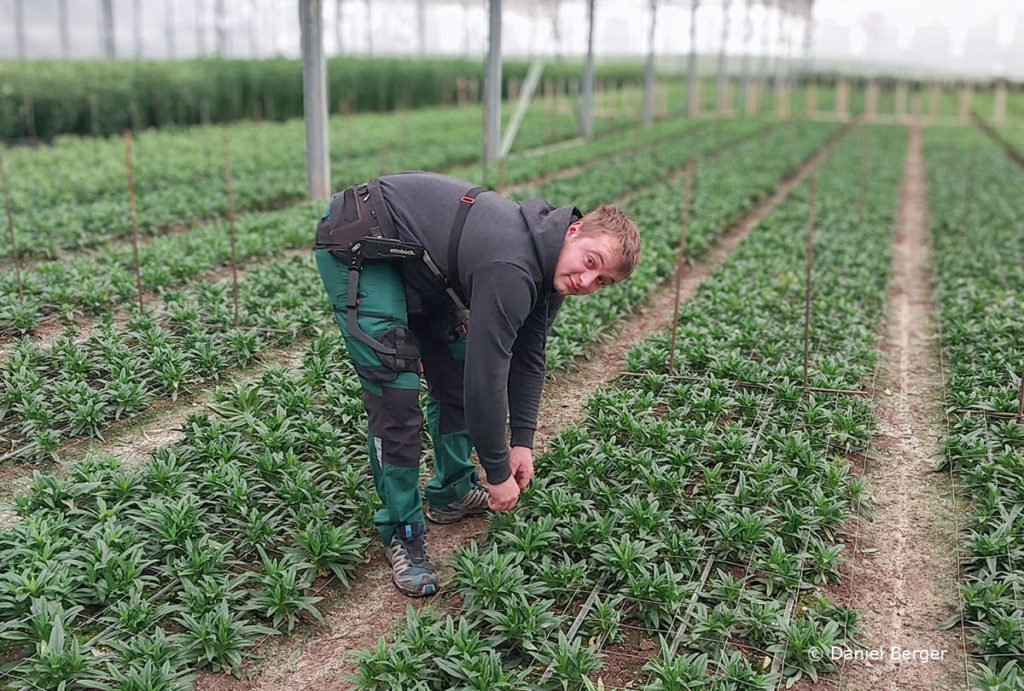 Daniel Berger setzt auf seinem Gartenbaubetrieb ein Exoskelett ein, zur Entlastung des Rückens.