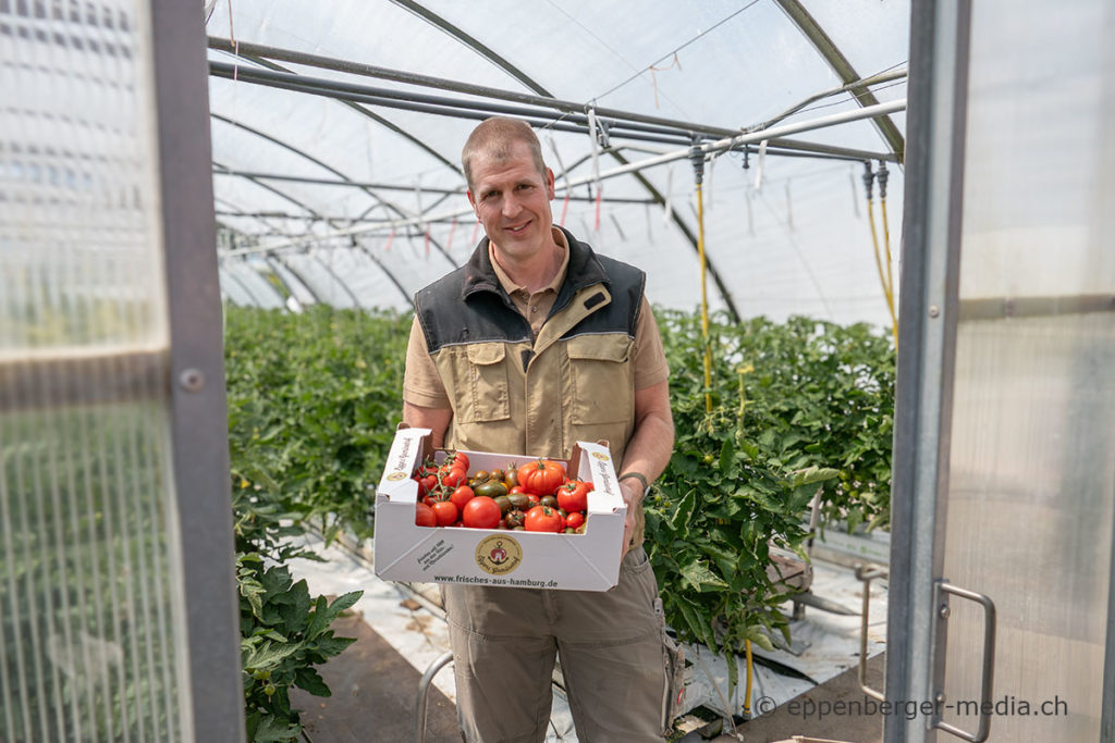 Arne Eggers im Gewächshaus mit frischen Tomaten.