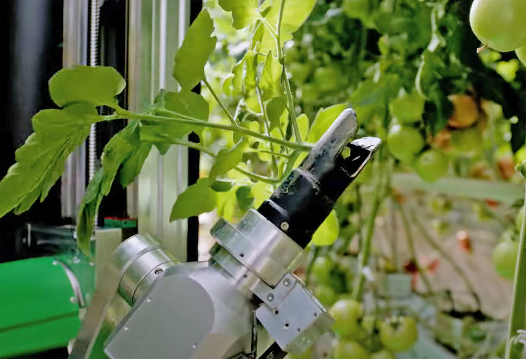 Roboterarm greift nach den Blättern.